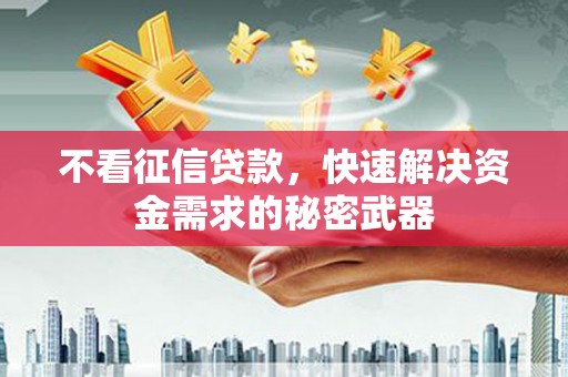 埌东不看征信贷款，快速解决资金需求的秘密武器