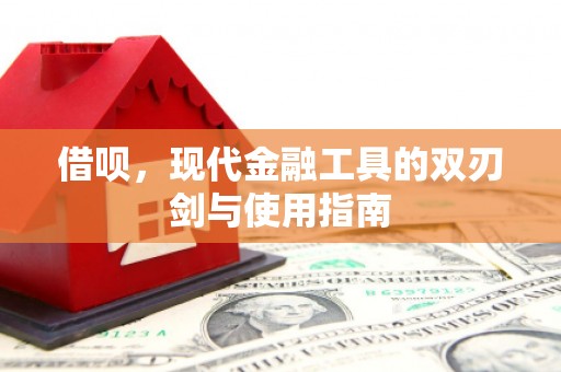 埌东借呗，现代金融工具的双刃剑与使用指南
