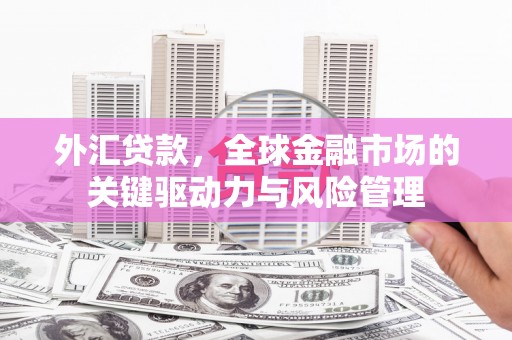 埌东外汇贷款，全球金融市场的关键驱动力与风险管理