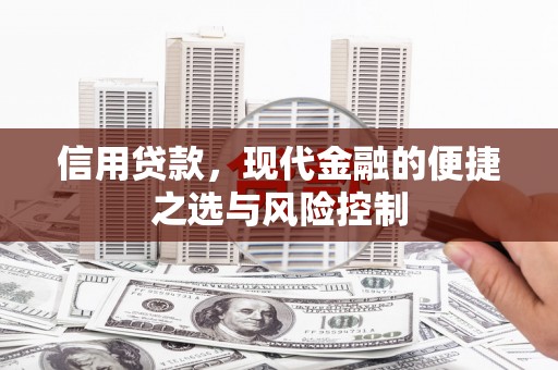 埌东信用贷款，现代金融的便捷之选与风险控制