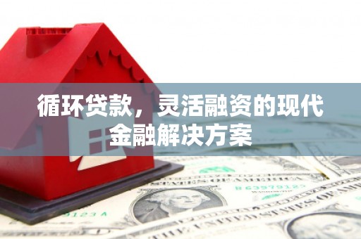 埌东循环贷款，灵活融资的现代金融解决方案