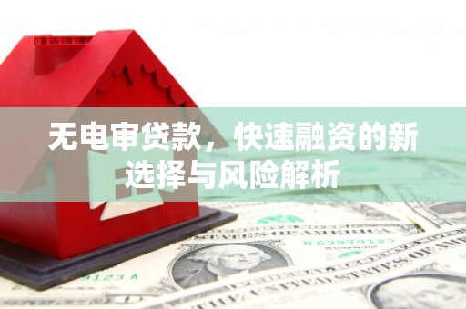 埌东无电审贷款，快速融资的新选择与风险解析