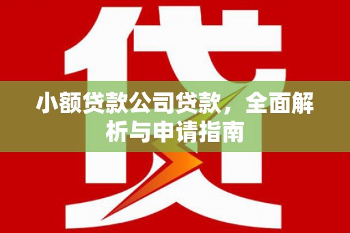 埌东小额贷款公司贷款，全面解析与申请指南