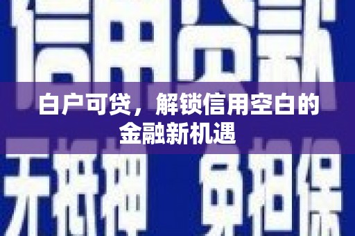 埌东白户可贷，解锁信用空白的金融新机遇