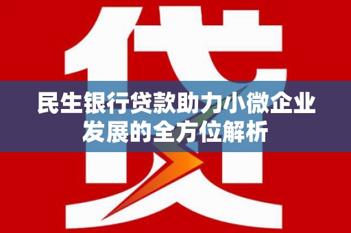 埌东民生银行贷款助力小微企业发展的全方位解析