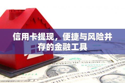 埌东信用卡提现，便捷与风险并存的金融工具