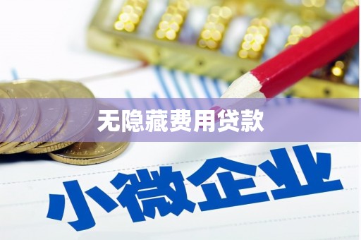 埌东无隐藏费用贷款