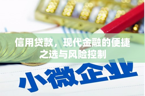 埌东信用贷款，现代金融的便捷之选与风险控制