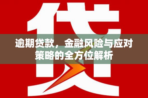 埌东逾期贷款，金融风险与应对策略的全方位解析