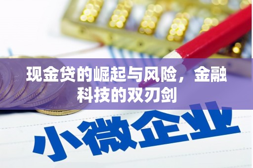 埌东现金贷的崛起与风险，金融科技的双刃剑