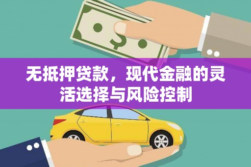 埌东无抵押贷款，现代金融的灵活选择与风险控制