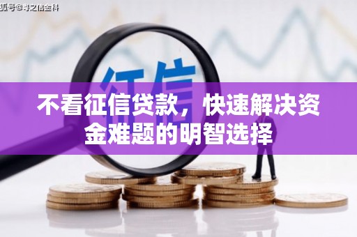 埌东不看征信贷款，快速解决资金难题的明智选择
