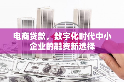 埌东电商贷款，数字化时代中小企业的融资新选择