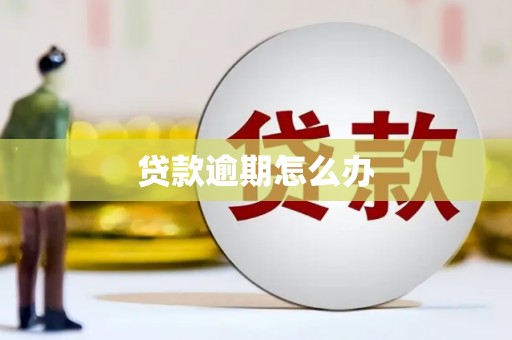 埌东贷款逾期怎么办