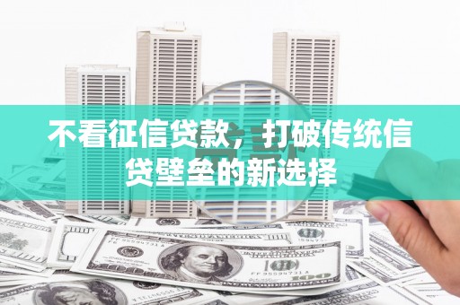 埌东不看征信贷款，打破传统信贷壁垒的新选择