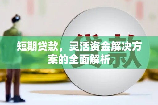 埌东短期贷款，灵活资金解决方案的全面解析