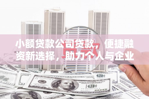 埌东小额贷款公司贷款，便捷融资新选择，助力个人与企业成长