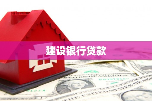埌东建设银行贷款