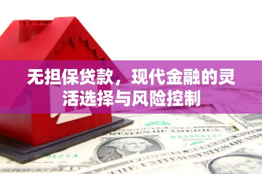 埌东无担保贷款，现代金融的灵活选择与风险控制