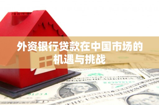 埌东外资银行贷款在中国市场的机遇与挑战
