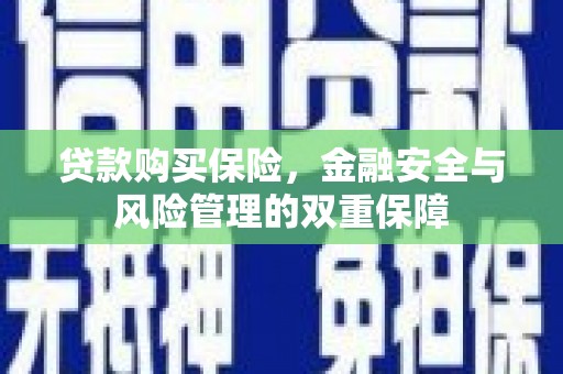 埌东贷款购买保险，金融安全与风险管理的双重保障