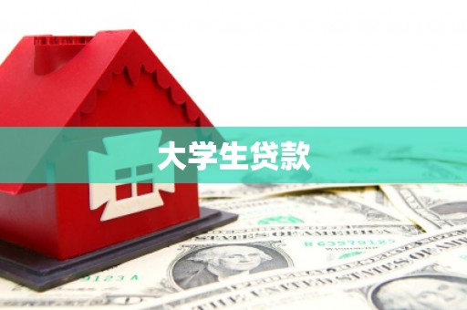 埌东大学生贷款