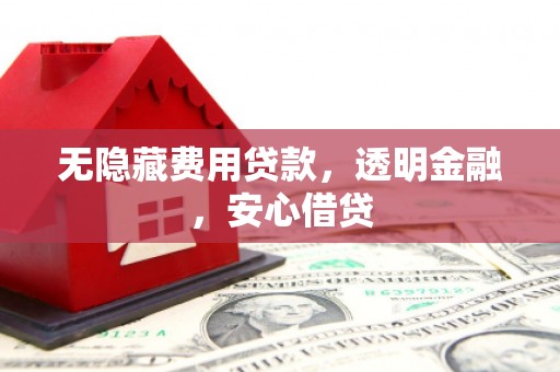 埌东无隐藏费用贷款，透明金融，安心借贷