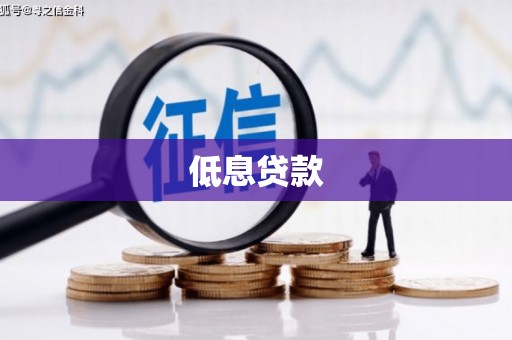 埌东低息贷款