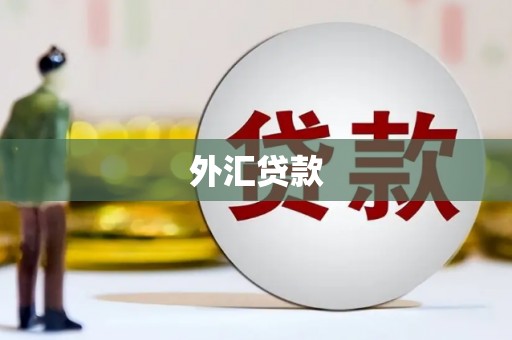 埌东外汇贷款