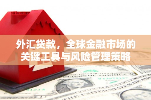 埌东外汇贷款，全球金融市场的关键工具与风险管理策略