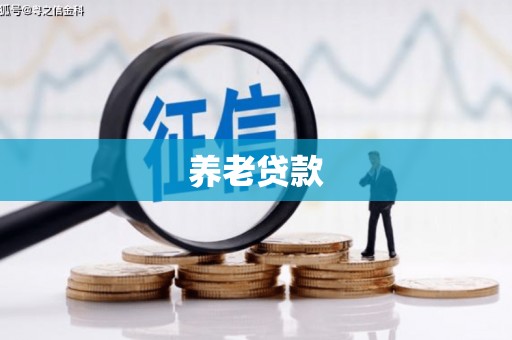 埌东养老贷款