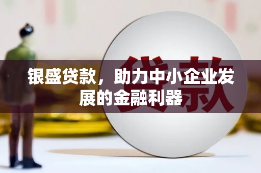 埌东银盛贷款，助力中小企业发展的金融利器