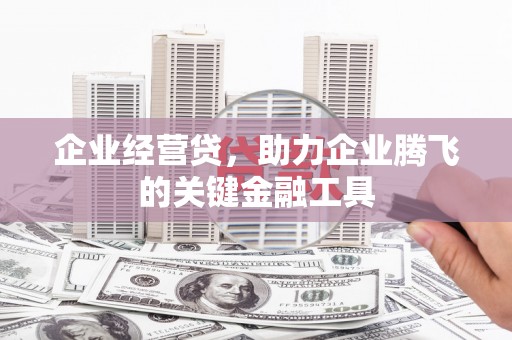 埌东企业经营贷，助力企业腾飞的关键金融工具