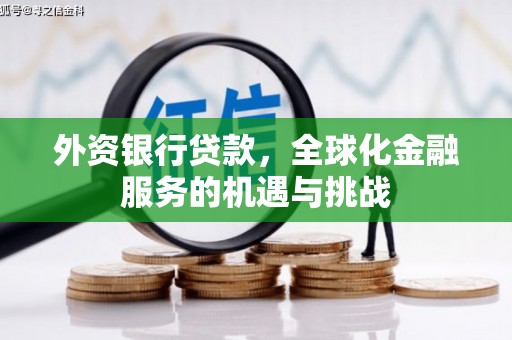 埌东外资银行贷款，全球化金融服务的机遇与挑战