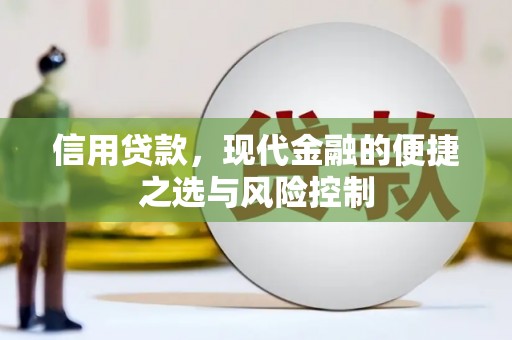埌东信用贷款，现代金融的便捷之选与风险控制