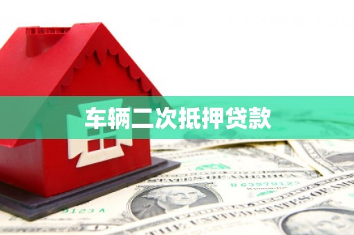 埌东车辆二次抵押贷款