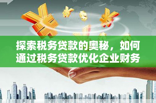 埌东探索税务贷款的奥秘，如何通过税务贷款优化企业财务