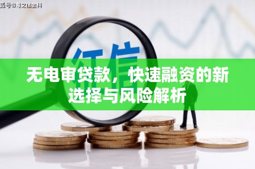 埌东无电审贷款，快速融资的新选择与风险解析