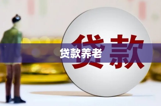 埌东贷款养老