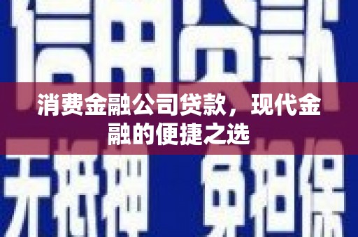 埌东消费金融公司贷款，现代金融的便捷之选