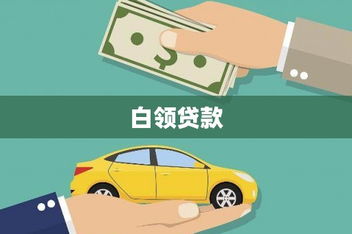 埌东白领贷款