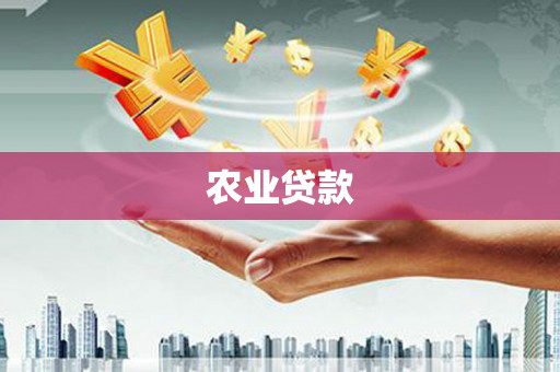 埌东农业贷款
