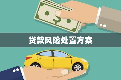埌东贷款风险处置方案