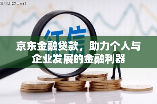 埌东京东金融贷款，助力个人与企业发展的金融利器