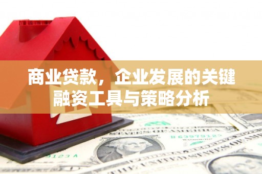 埌东商业贷款，企业发展的关键融资工具与策略分析