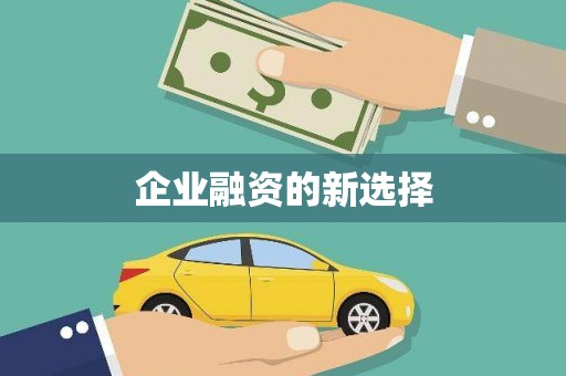 埌东企业融资的新选择