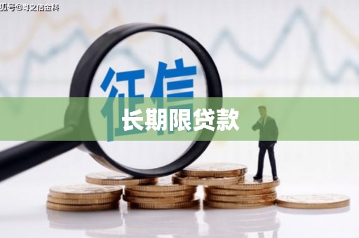 埌东长期限贷款