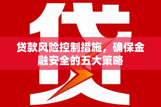 埌东贷款风险控制措施，确保金融安全的五大策略