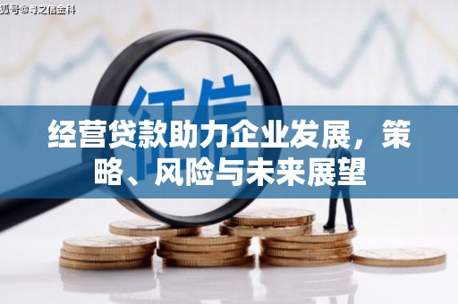埌东经营贷款助力企业发展，策略、风险与未来展望