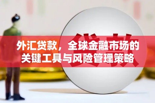 埌东外汇贷款，全球金融市场的关键工具与风险管理策略